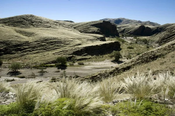 Namib Naukluft National Park Namibie Afrique Sud Afrique — Photo