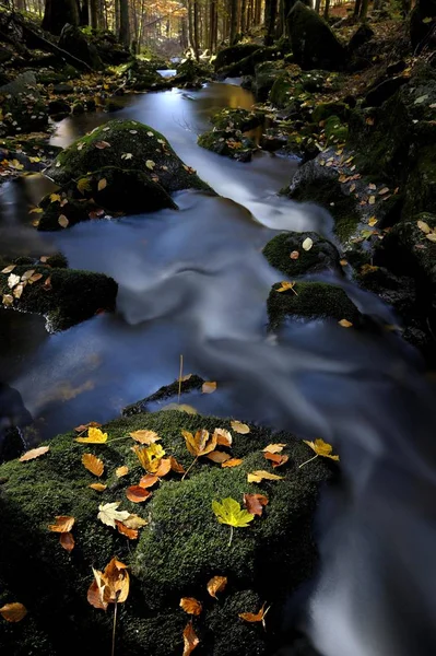 Vloeiende Stroom Mossy Stenen Herfst Bladeren Altschoenau Beierse Woud Beieren — Stockfoto