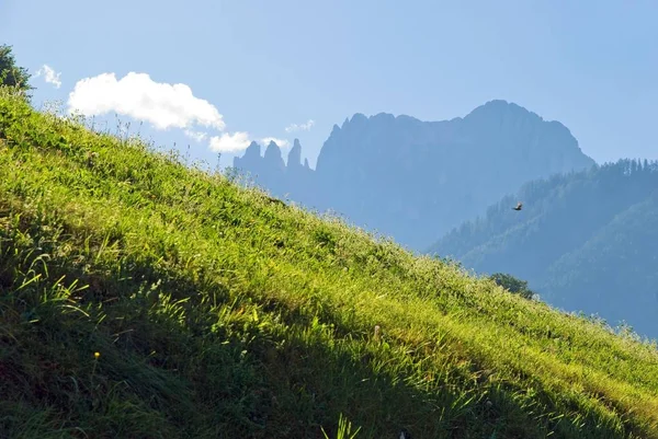 Prado Exuberante Com Vista Para Montanhas Rosengarten Tiers Bolzano Bozen — Fotografia de Stock