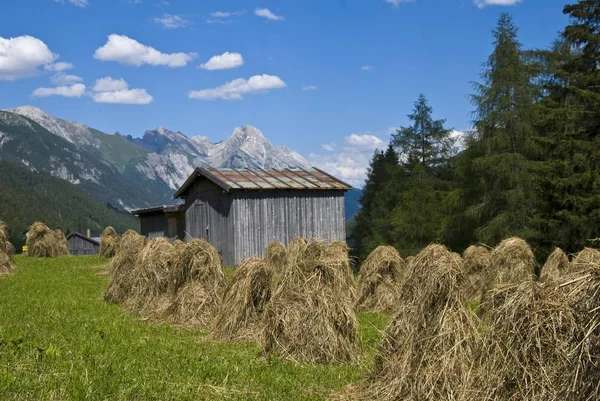 Suszenia Siana Siano Stodoła Freispitze Tył Pobliżu Pettnau Arlberg Tyrol — Zdjęcie stockowe