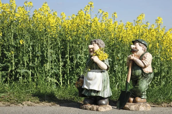 Figuras Agricultor Mulher Agricultor Frente Campo Estupro — Fotografia de Stock