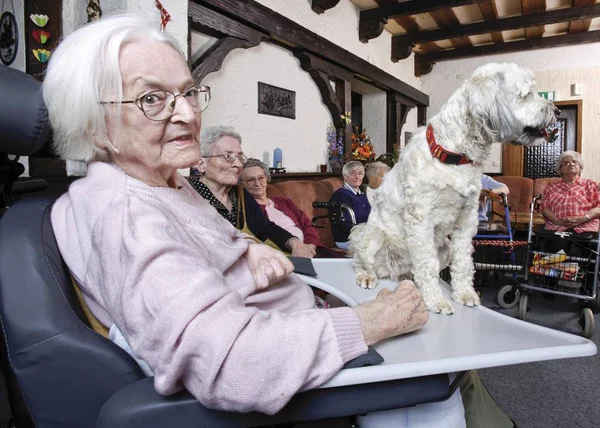 Ηλικιωμένη Γυναίκα Που Την Επισκέφθηκε Σκύλος Γηροκομείο — Φωτογραφία Αρχείου