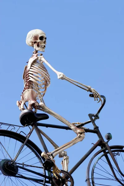 Esqueleto Andando Bicicleta — Fotografia de Stock