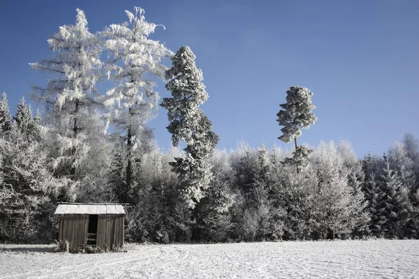 Casa cabana de madeira no inverno — Fotografia de Stock