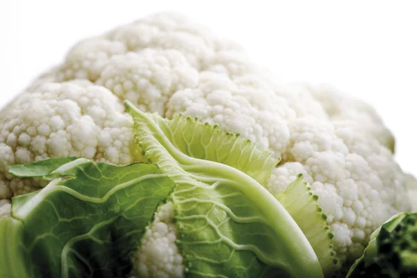 Cauliflower Close Shot Studio — Stock Photo, Image