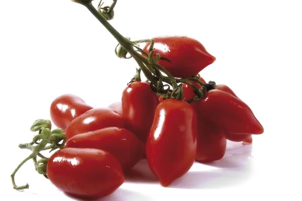 Bos Van Tomaten Geïsoleerd Witte Achtergrond — Stockfoto