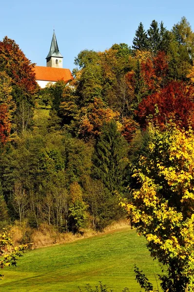 Herbstwald Bei Bad Tölz Bayern Deutschland Europa — Stockfoto