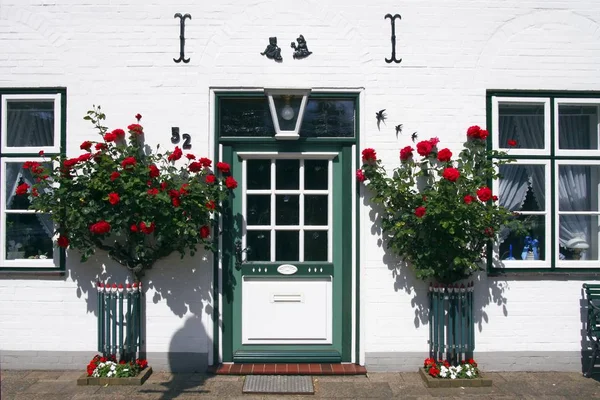 在入口处的红玫瑰 Friedrichstadt Frisia 石勒苏益格 荷尔斯泰因 欧洲的装饰木前门的历史性房子 — 图库照片