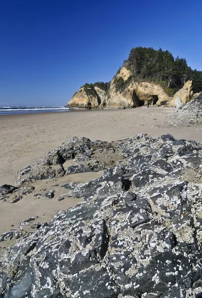 Beach Rocks Hug Point State Park Oregon Usa North America — Stock Photo, Image