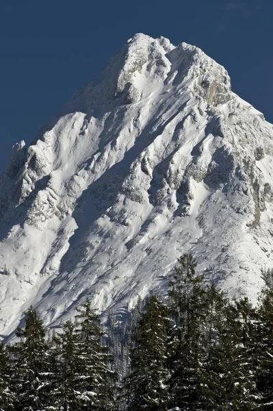 Montera Guffert Alperna Tyrolen Österrike Europa — Stockfoto