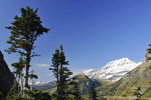 Logan Pass Atração Principal Parque Nacional Glacier Montana Eua América — Fotografia de Stock