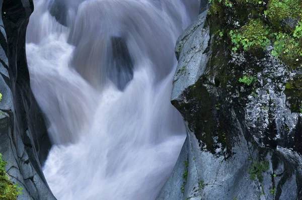 Box Canyon Rainier Nemzeti Park Washington Amerikai Egyesült Államok Észak — Stock Fotó