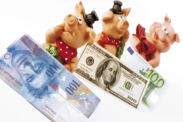 Schweine Als Glückssymbol Mit Verschiedenen Banknoten — Stockfoto