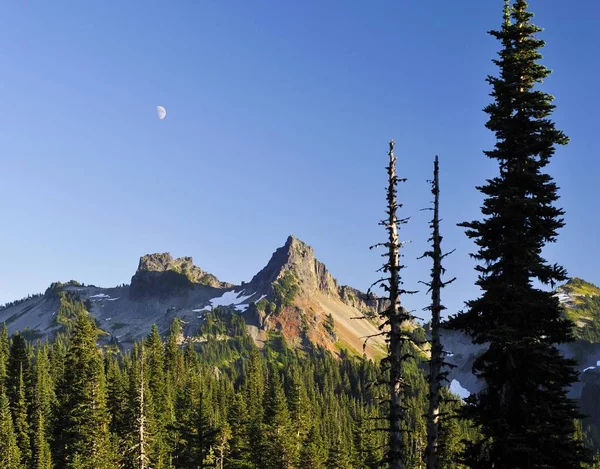 Castle Peak Parque Nacional Mount Rainier Washington Estados Unidos América — Foto de Stock