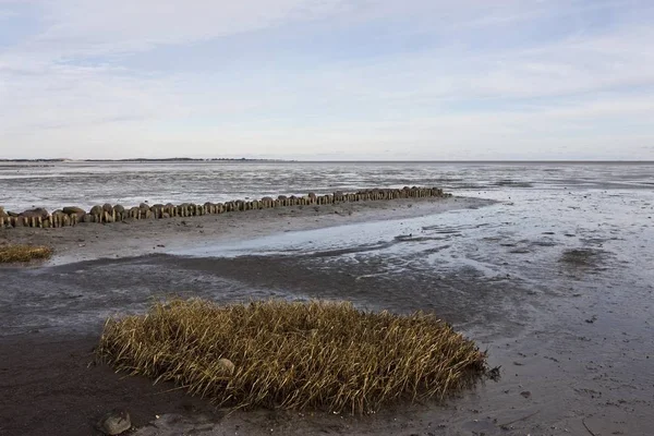 Mudflats Maré Baixa Perto Keitum Sylt Island North Frisian Islands — Fotografia de Stock