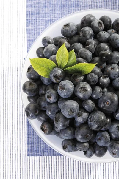 Blueberries Leaves Plate — Stock Photo, Image