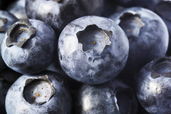 Close Shot Blueberries — Stock Photo, Image