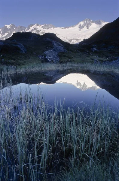 Reeds Lâminas Altas Grama Frente Lago Schwarzsee Zillertal Alpes Tirol — Fotografia de Stock