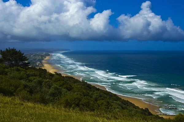 Knysna Bahçe Rota Güney Afrika Afrika Yakınındaki Vahşi Koyunda Kıyı — Stok fotoğraf