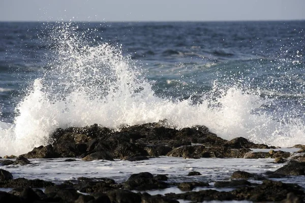 Волны Районе Эль Котильо Фуэртевентура Канарские Острова Испания Европа — стоковое фото