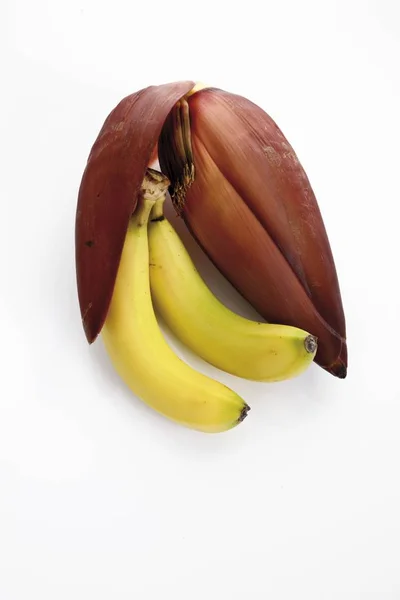 Flor Banana Bananas Isoladas Branco — Fotografia de Stock