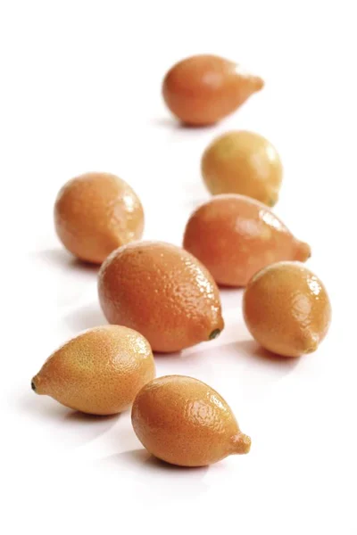 Kumquats Izrael Fehér Háttér — Stock Fotó