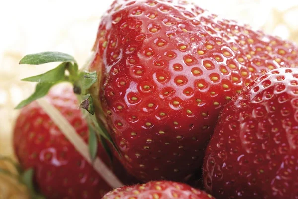 Fresh strawberries berries — Stock Photo, Image