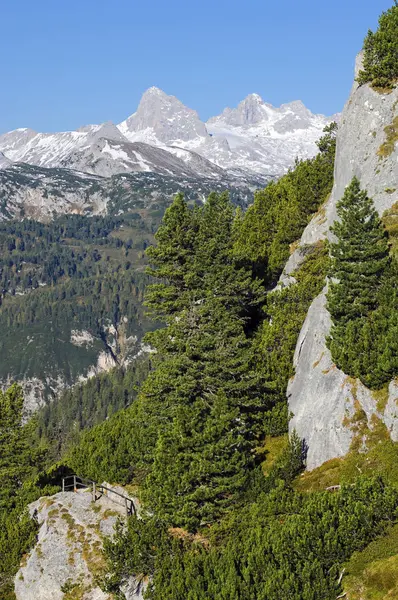 Maciço Dachstein Estíria Áustria Europa — Fotografia de Stock
