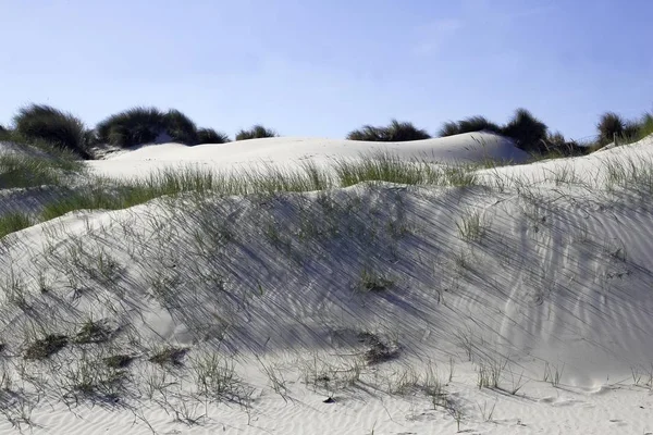 White Sand Dunes Island Amrum Nature Reserve Amrum Odde Amrum — Stock Photo, Image