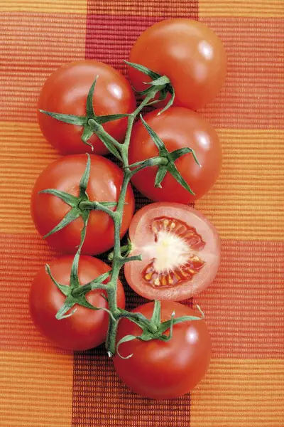 Pomodori ciliegia freschi — Foto Stock