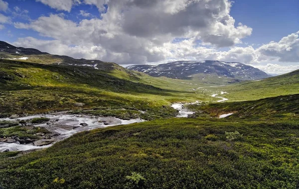 Parque Nacional Dovrefjell Sunndalsfjella Noruega Escandinavia Europa — Foto de Stock