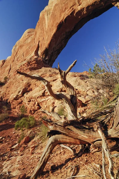 Zuid Venster Het Arches National Park Utah Vsa — Stockfoto