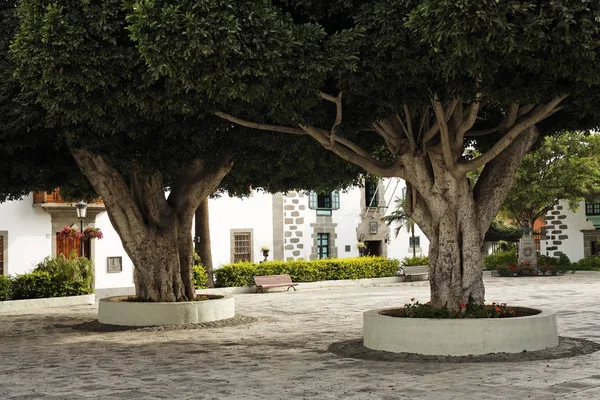 Telde Plaza San Juan Gran Canaria Spain Europe — Stock Photo, Image