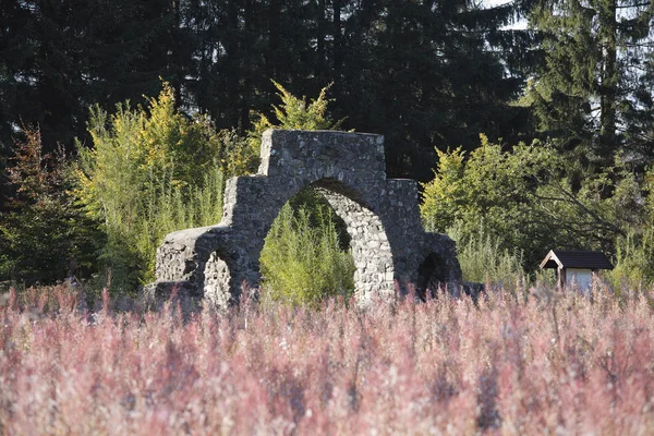 Zwarte Moor Zomer Hout Met Groene Bomen Baksteen Architectuur — Stockfoto