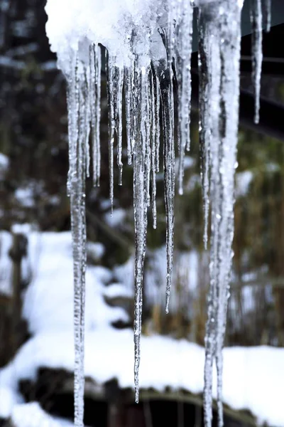 Derretimiento de carámbanos en invierno — Foto de Stock