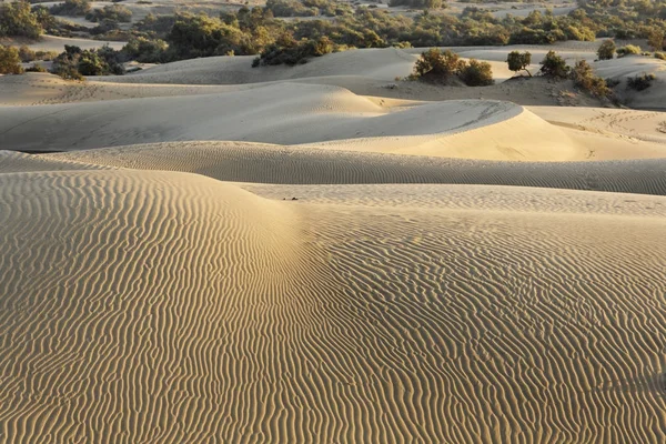 Sand Dunes Maspalomas Playa Del Ingles Gran Canaria Spain Europe — Stock Photo, Image