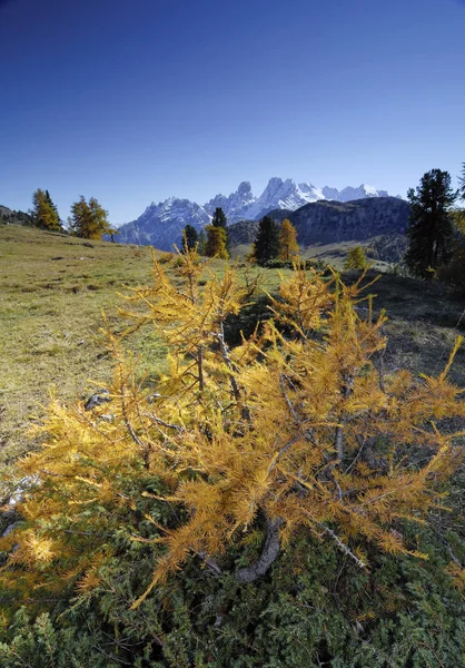 Herbstlandschaft Sextenan Dolomiten Südtirol Italien Europa — Stockfoto
