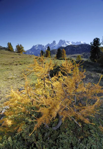 Paysage Automnal Dolomites Sextenan Tyrol Sud Italie Europe — Photo