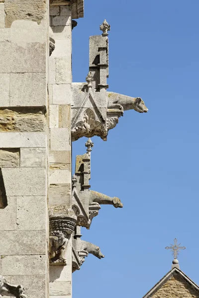 베드로 Regensburg 바바리아 유럽에서 Gargoyles — 스톡 사진