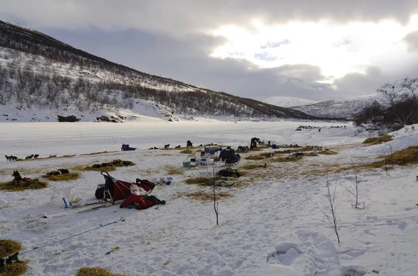 Psím Závod Kontrolní Stanice Finnmark Norsko Skandinávie Evropa — Stock fotografie