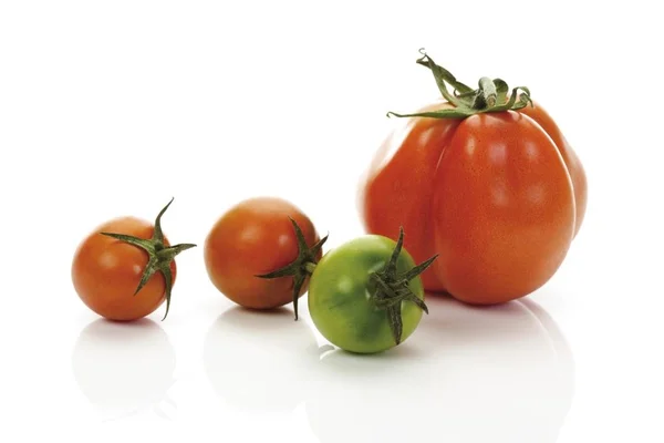 Verse oxheart tomaten — Stockfoto