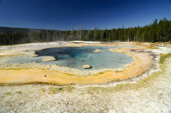 Γεωλογικά Τοπίο Geyser Εθνικό Πάρκο Yellowstone Ουαϊόμινγκ Usa — Φωτογραφία Αρχείου