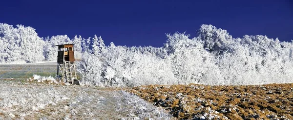 Geada paisagem de inverno — Fotografia de Stock