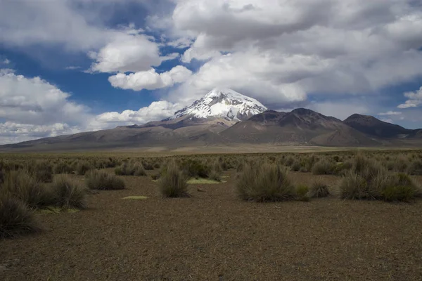 Nevado Sajama montaña —  Fotos de Stock