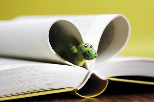 Aufgeschlagenes Buch Seiten Mit Herzform Und Wurm Lesezeichen Für Ein — Stockfoto