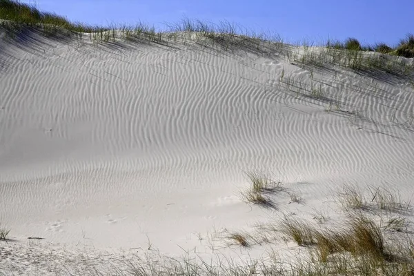 Bílé Písečné Duny Ostrově Amrum Přírodě Rezervovat Amrum Odde Amrum — Stock fotografie