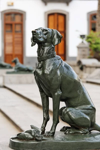 Αγάλματα Των Καναρίων Νήσων Σκυλιά Στην Πλατεία Plaza Santa Ana — Φωτογραφία Αρχείου