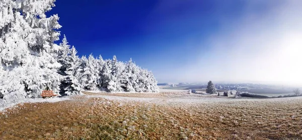 Frost winter landscape — Stock Photo, Image