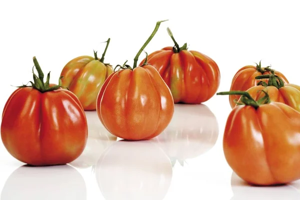 Verse oxheart tomaten — Stockfoto