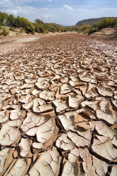 Lecho Río Seco Grand Staircase National Monument Utah Estados Unidos — Foto de Stock